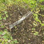 434597